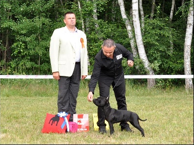 du Domaine d'Ishtar - National Terrier Show à Lubieszyn (Pologne) juin 2013