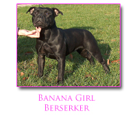 CH. Banana girl berserker