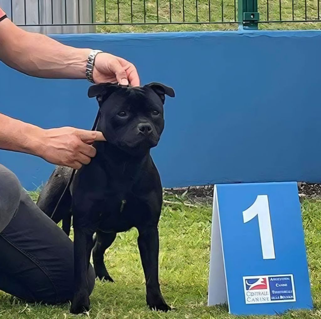 Nightwish d'ishtar legacy berserker