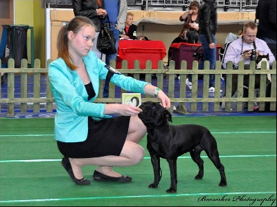 du Domaine d'Ishtar - National Dog Show à Swiebodzice (Pologne) Mai 2013